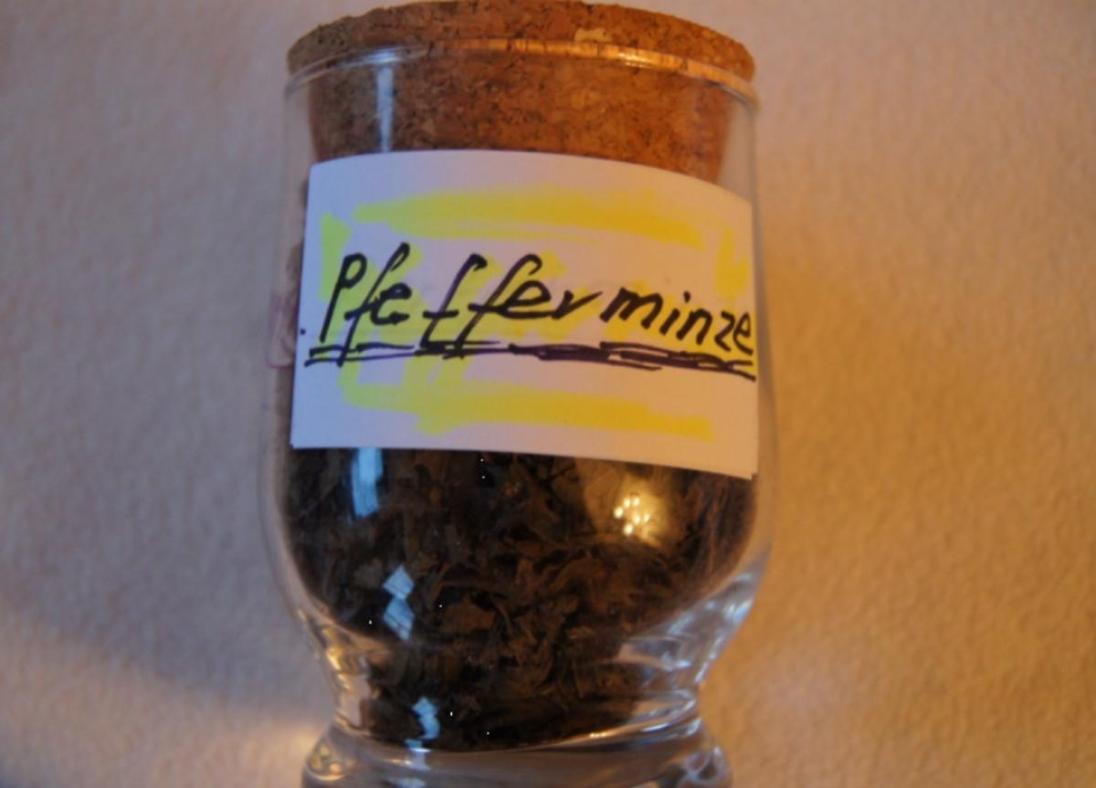 Pfefferminze-Tee - Rezept - Bild Nr. 3473