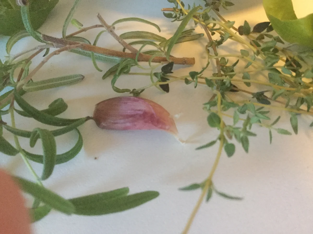 Rezept: Schafskäse und getrocknete Tomaten in Olivenöl eingelegt Bild Nr. 3475 Schafskäse und getrocknete Tomaten in Olivenöl eingelegt - Rezept - Bild Nr. 3475