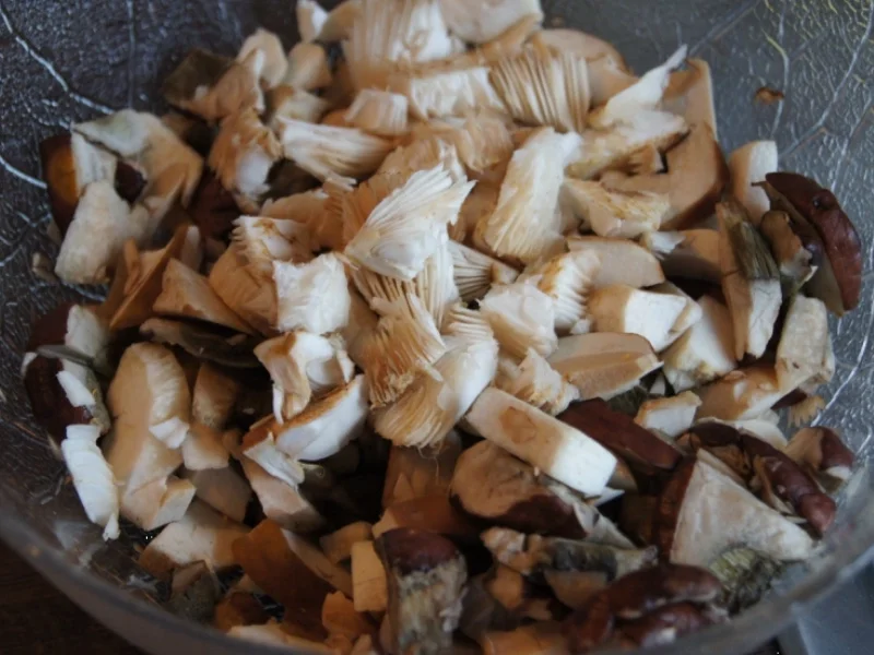 Gemischte Waldpilze - Rezept - Bild Nr. 3476