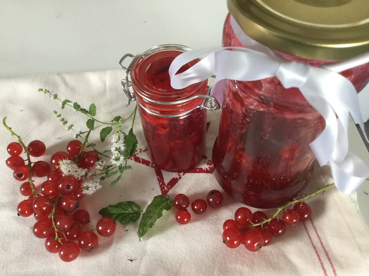 Blitz Johannisbeer-Konfitüre mit Erdbeerminze - Rezept - Bild Nr. 3473