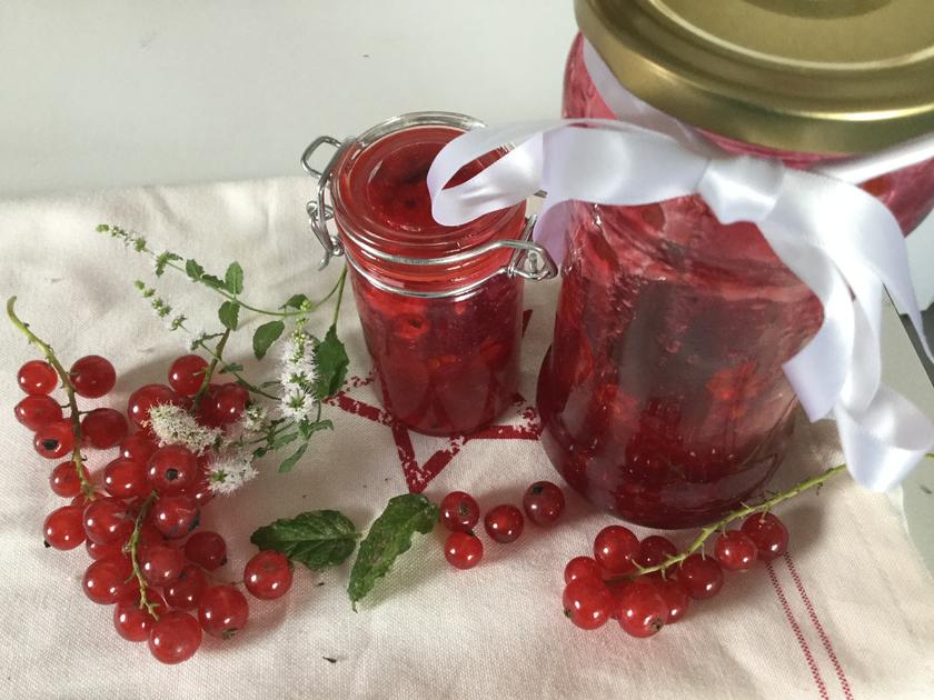 Blitz Johannisbeer Konfitüre mit Erdbeerminze - einfach - von Chilitanz