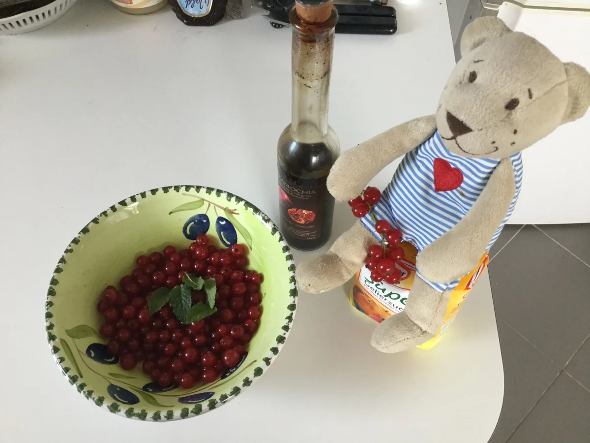 Blitz Johannisbeer-Konfitüre mit Erdbeerminze - Rezept - Bild Nr. 3474