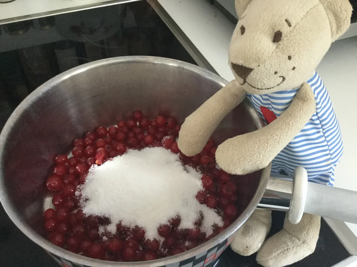 Blitz Johannisbeer-Konfitüre mit Erdbeerminze - Rezept - Bild Nr. 3475