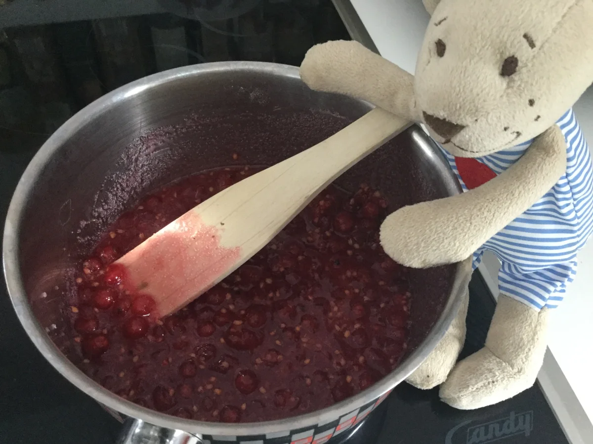 Blitz Johannisbeer-Konfitüre mit Erdbeerminze - Rezept - Bild Nr. 3477