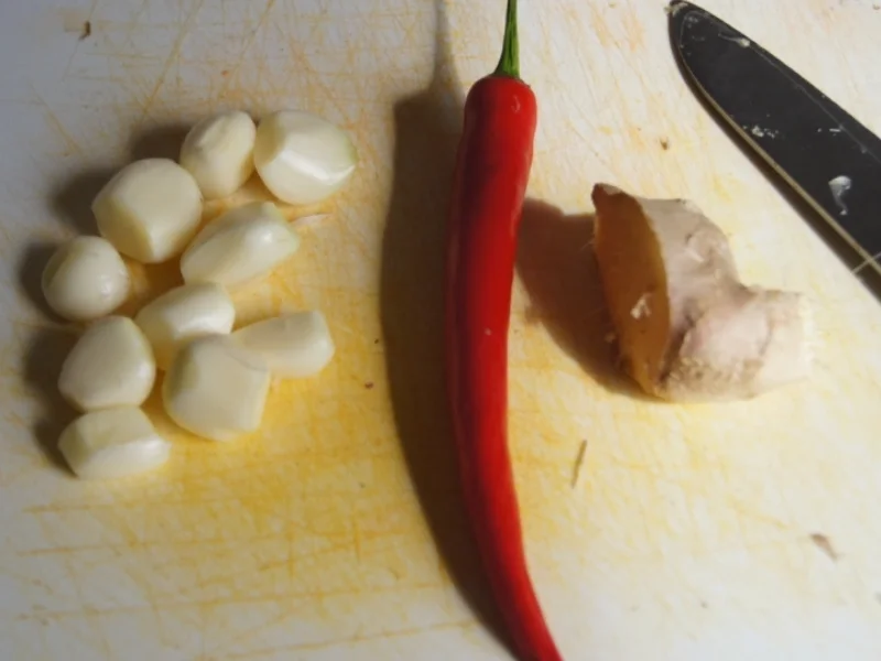 Putencurry mit Süßkartoffel und Basmatireis - Rezept - Bild Nr. 3473