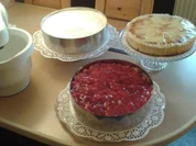 Rezept: Wiener Boden, schnell und einfach Bild Nr. 3481 Wiener Boden, schnell und einfach - Rezept - Bild Nr. 3481