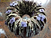 Rührteig:   saftiger SCHOKOLADENKRANZ - Rezept - Bild Nr. 3481