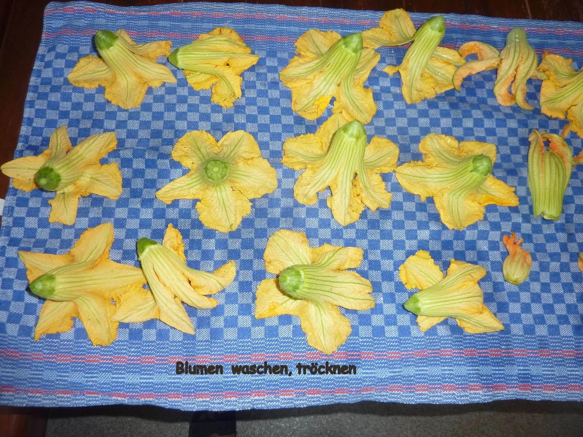 Kürbisblumen Krapfen N°2 - Rezept - Bild Nr. 3522