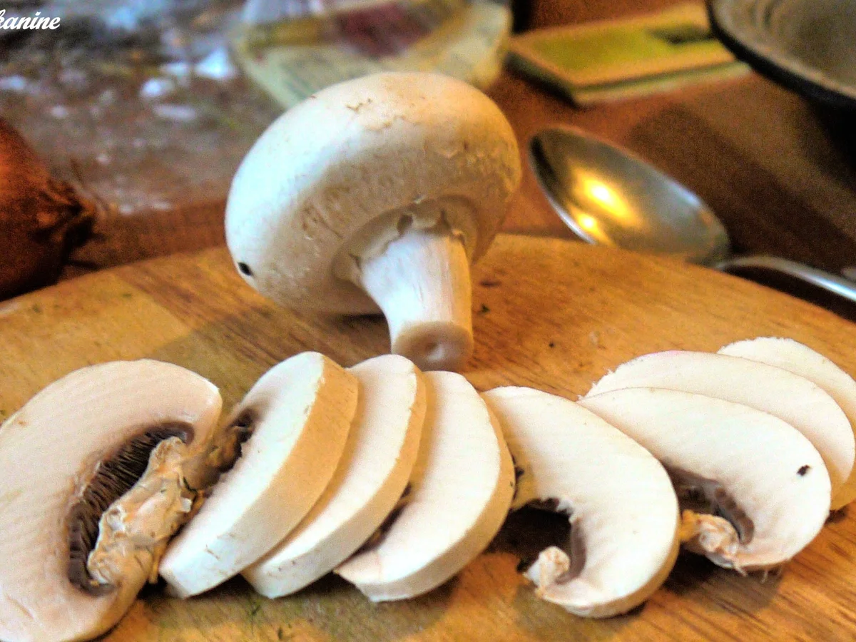 Rezept: Pilzstulle Bild Nr. 3524 Pilzstulle - Rezept - Bild Nr. 3524