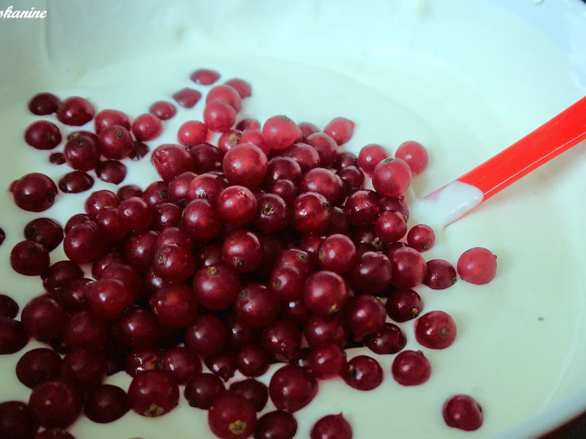 Rezept: Johannisbeerterrine mit Kaffeesirup Bild Nr. 3531 Johannisbeerterrine mit Kaffeesirup - Rezept - Bild Nr. 3531