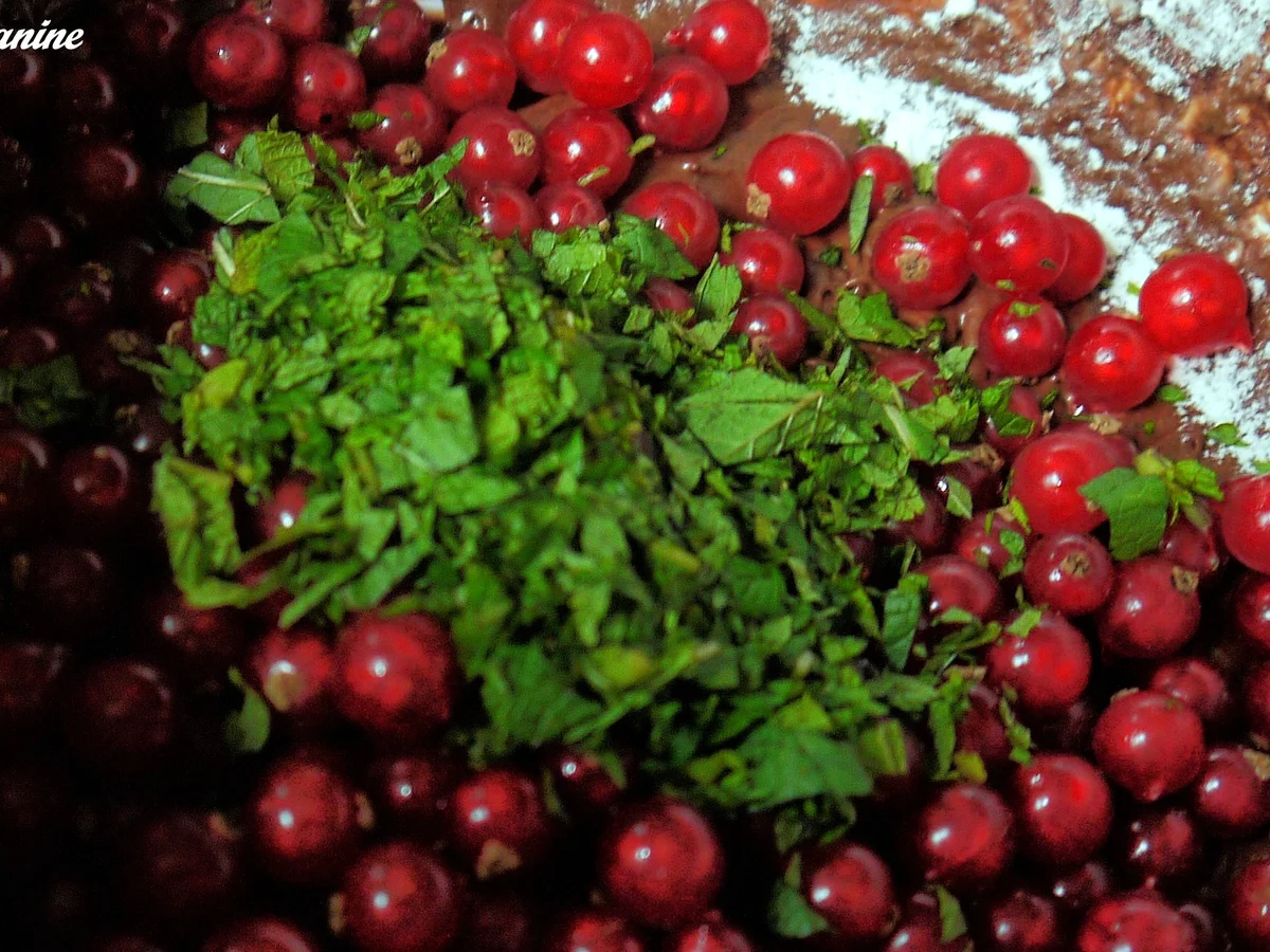 Rezept: Schoko-Minz-Johannisbeerkuchen Bild Nr. 8 Schoko-Minz-Johannisbeerkuchen - Rezept - Bild Nr. 8