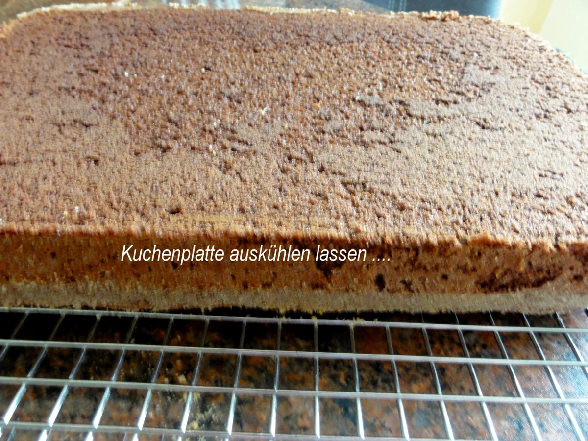 Biskuit:  3D - TORTENBODEN - VARIANTEN - Rezept - Bild Nr. 3539