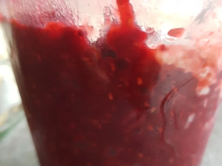 Granatapfel plus Beerenmus als Schichtdessert - Rezept - Bild Nr. 3564