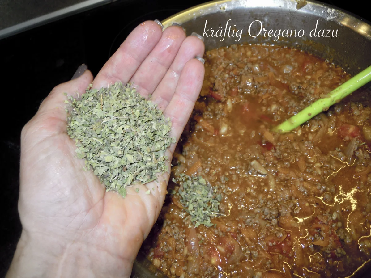 meine  Sauce  "Bolognese" - Rezept - Bild Nr. 3606