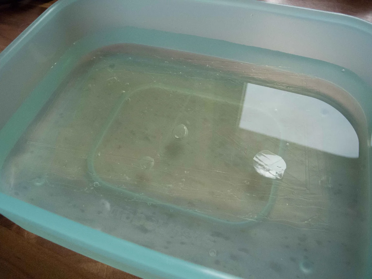 Rezept: Kuchen: Stracciatella-Cheese-Cake mit Trauben Bild Nr. 7 Kuchen: Stracciatella-Cheese-Cake mit Trauben - Rezept - Bild Nr. 7