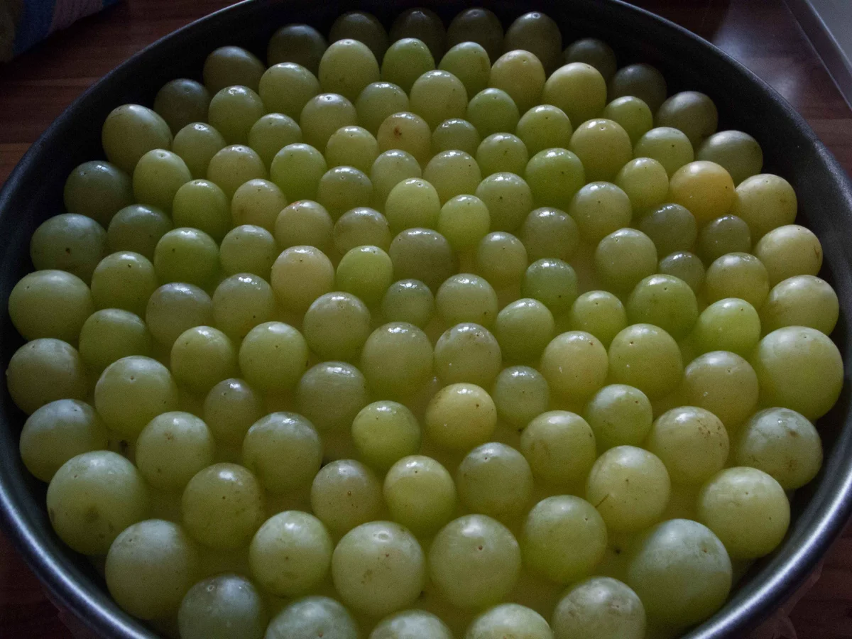 Rezept: Kuchen: Stracciatella-Cheese-Cake mit Trauben Bild Nr. 9 Kuchen: Stracciatella-Cheese-Cake mit Trauben - Rezept - Bild Nr. 9