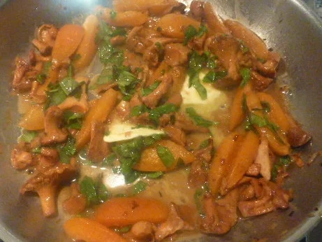 Rezept: Aprikosen-Pfifferlingsragout,Tomatenpolenta,Rinderfilet Bild Nr. 3592 Aprikosen-Pfifferlingsragout,Tomatenpolenta,Rinderfilet - Rezept - Bild Nr. 3592