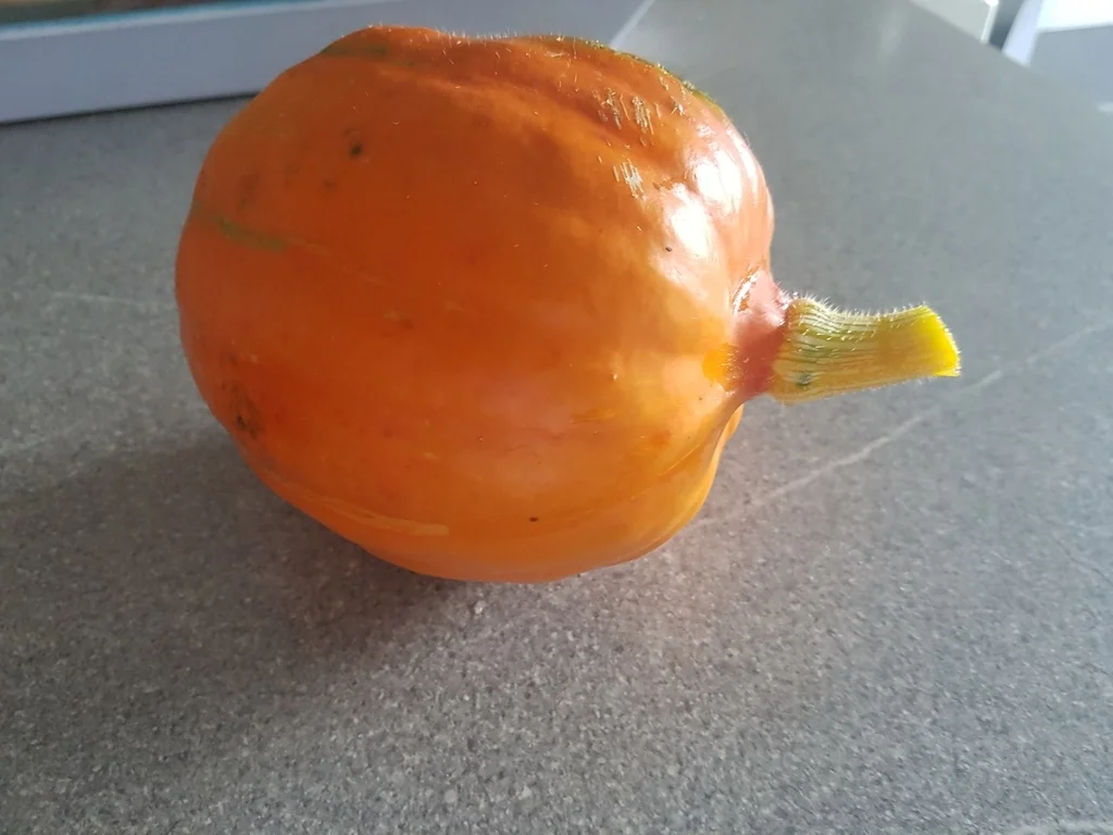 *Hokaido* Kürbissuppe - Rezept - Bild Nr. 3619