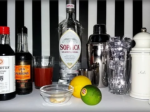 Bloody Mary - nicht immer "Katergetränk" - Rezept - Bild Nr. 3621