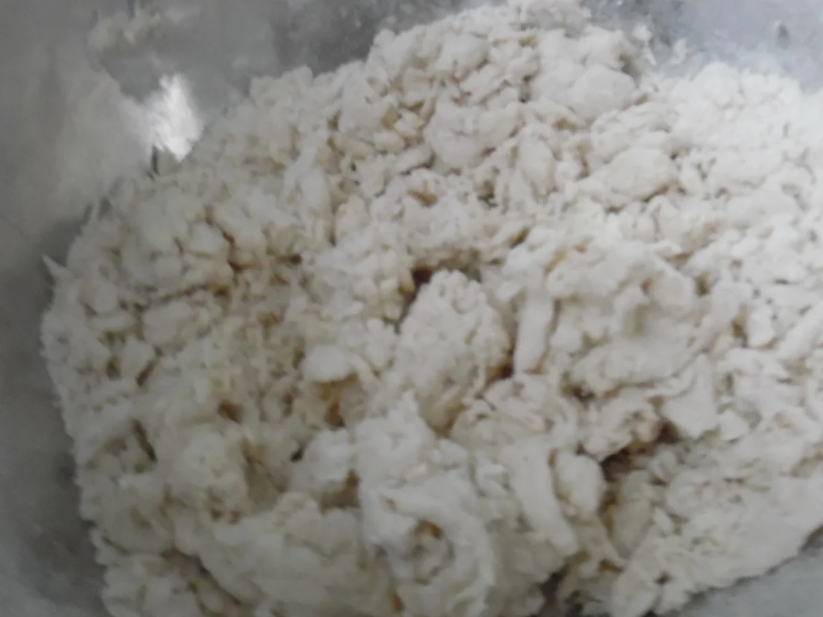 Yaki Udon-Nudeln - Rezept - Bild Nr. 3634