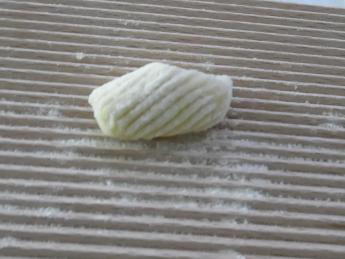 Nudelteig für Gnocchetti und Reginette - Rezept - Bild Nr. 3623