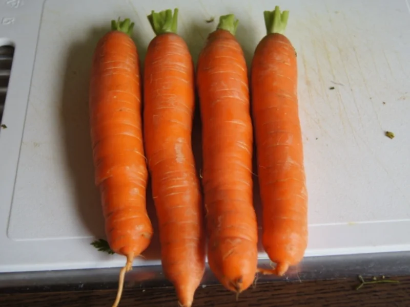 Knusper-Hähnchenkeulen mit Honig-Bundmöhren - Rezept - Bild Nr. 3628