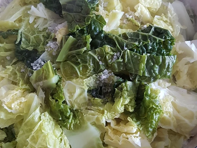 Wirsing als OnePot und etwas edler zubereitet - Rezept - Bild Nr. 3640