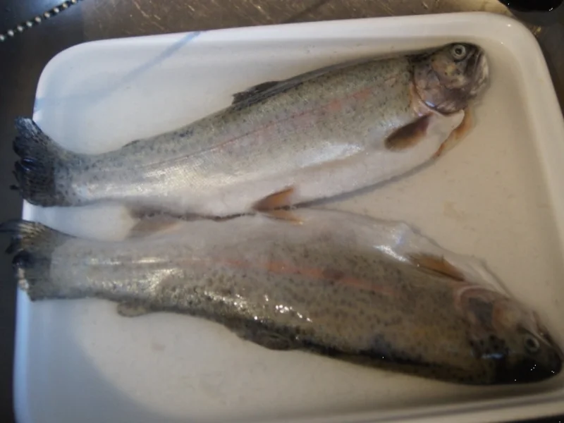 Rezept: Regenbogen-Forelle mit Kartoffel-Meerrettich-Stampf Bild Nr. 3645 Regenbogen-Forelle mit Kartoffel-Meerrettich-Stampf - Rezept - Bild Nr. 3645