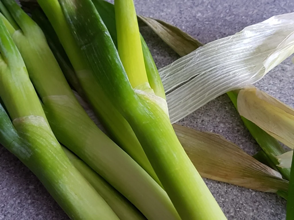 Lachsfilet (Honig geröstet)  à la Biggi - Rezept - Bild Nr. 3639