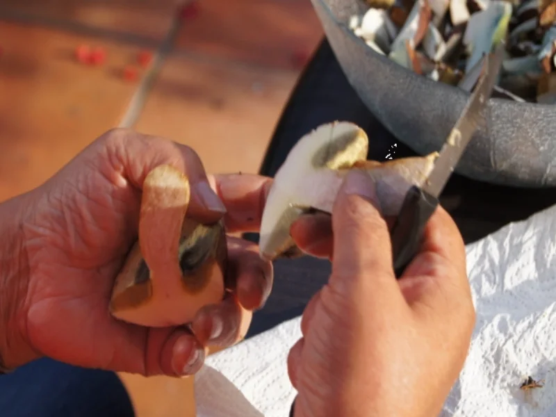Waldpilzpfanne mit Bauerbutterbrot - Rezept - Bild Nr. 5
