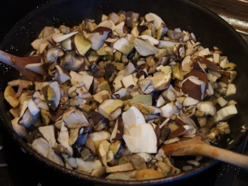 Waldpilzbuletten - Rezept - Bild Nr. 3670