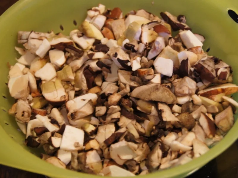 Waldpilzbuletten - Rezept - Bild Nr. 3671