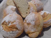 Scottish Baps-Buns - Rezept - Bild Nr. 3674