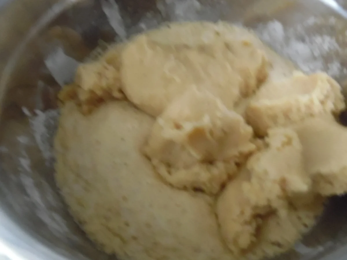 Hefe-Mohnrolle - Rezept - Bild Nr. 3684