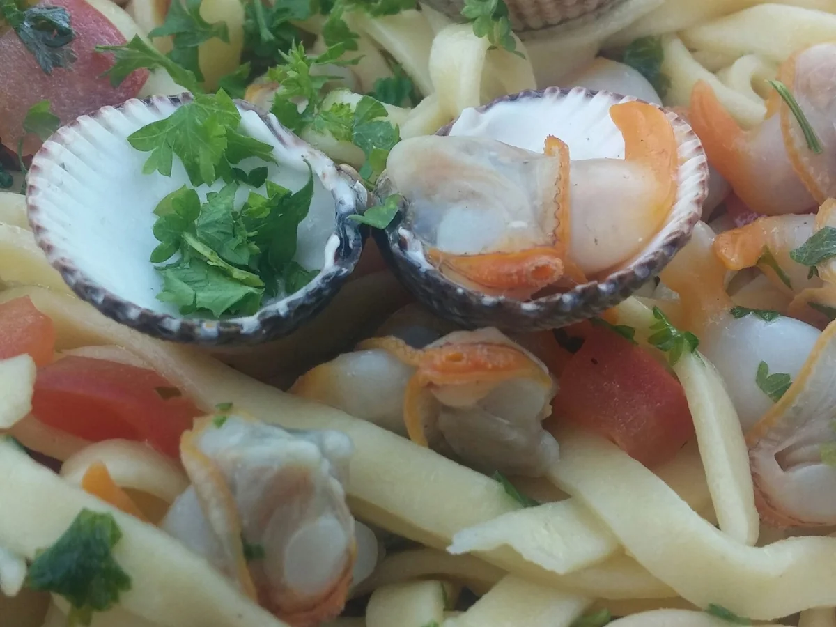 Linguine mit Herzmuscheln - Rezept - Bild Nr. 3674