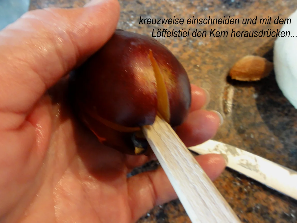 Mürbeteig:   ZWETSCHGEN ~ QUARK ~ KNÖDEL - Rezept - Bild Nr. 3680