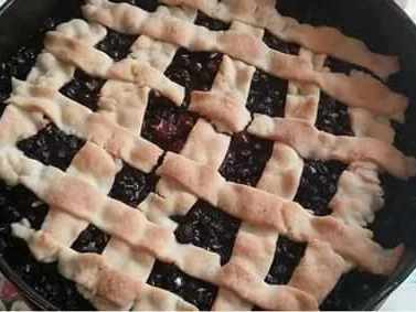 Blaubeerkuchen - Rezept - Bild Nr. 3677