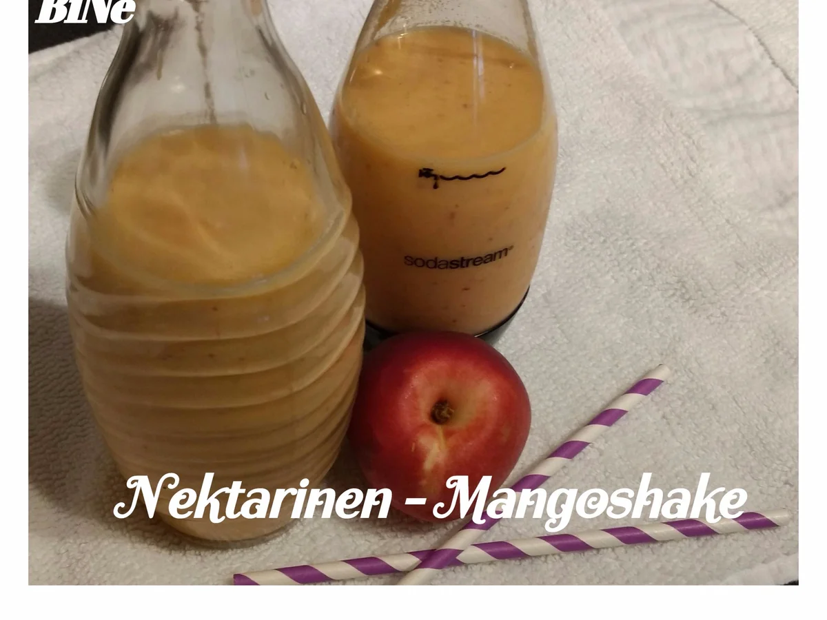 BiNe` S NEKTARINEN - MANGOSHAKE - Rezept - Bild Nr. 3703