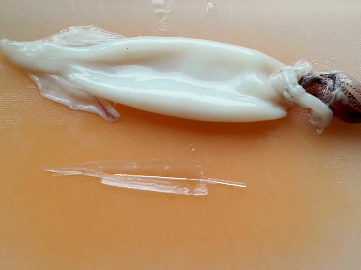 Lulas fritas à Algarvia ~ Tintenfisch nach Algarve Art - Rezept - Bild Nr. 3701