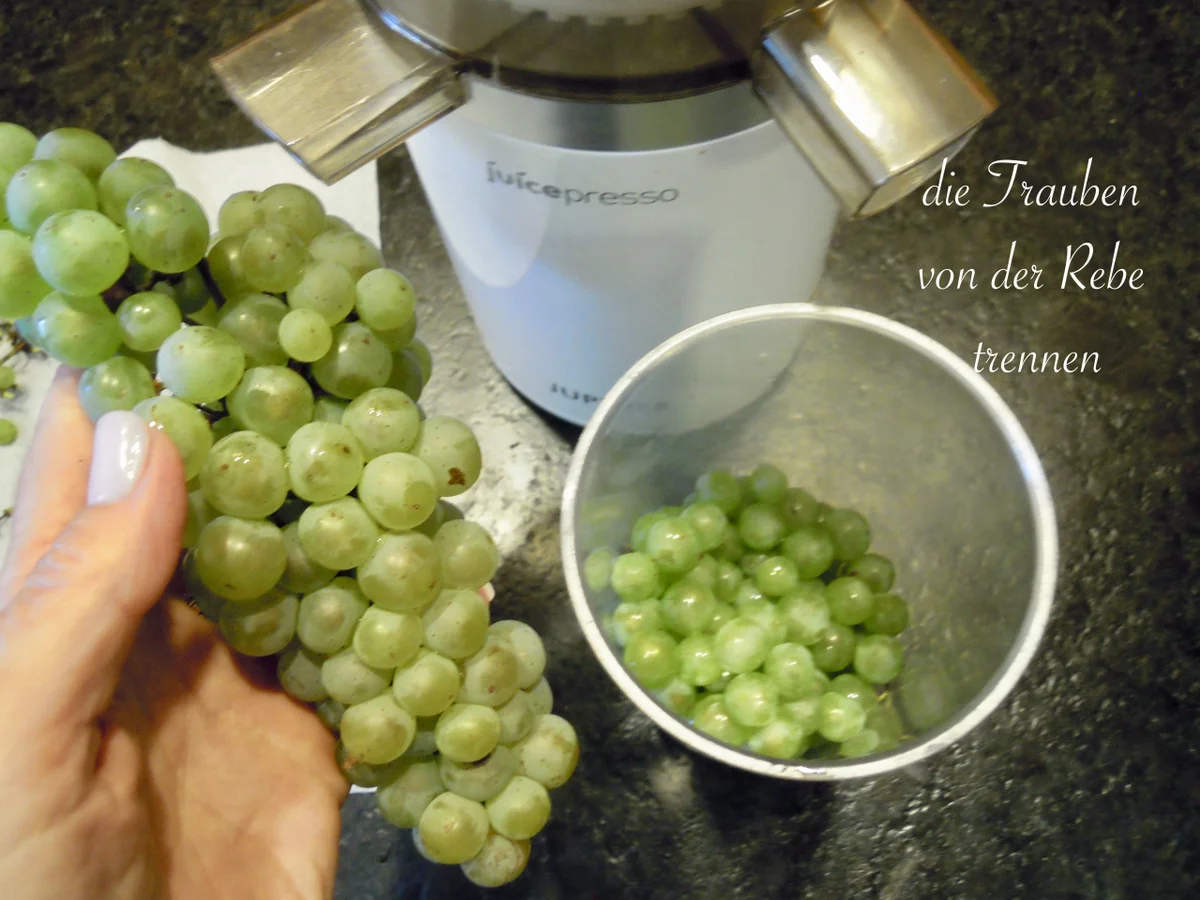 Wachauer Trauben Sirup - Rezept - Bild Nr. 3873