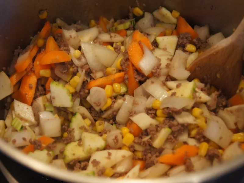 Rindermett-Gemüse-Eintopf asiatisch gewürzt - Rezept - Bild Nr. 3710