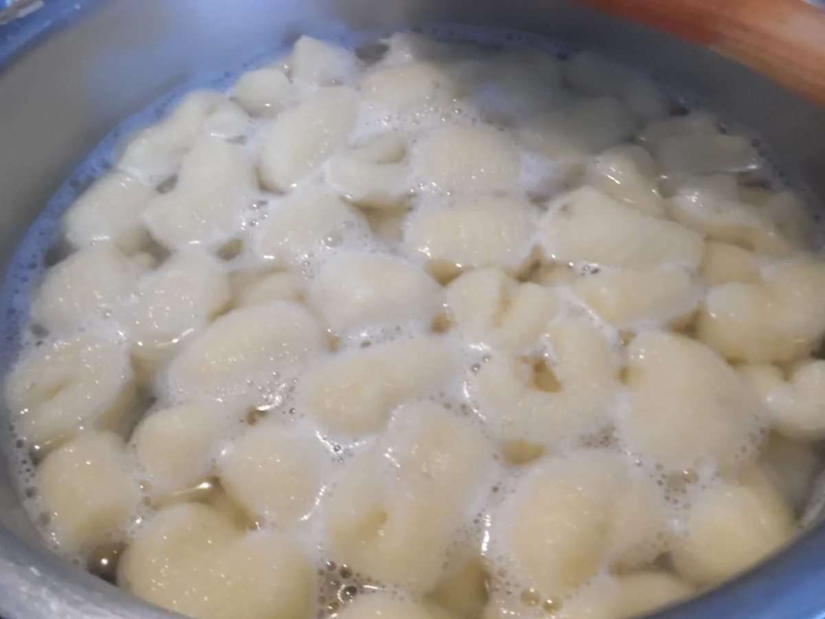Gnocchi - Rezept - Bild Nr. 3699