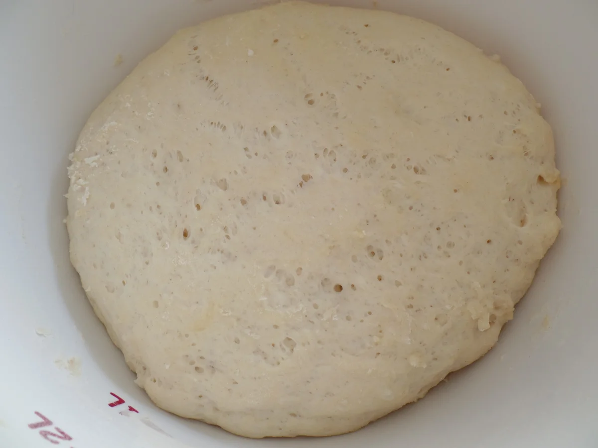 Gemüsepizza mit Chorizo - Rezept - Bild Nr. 3699