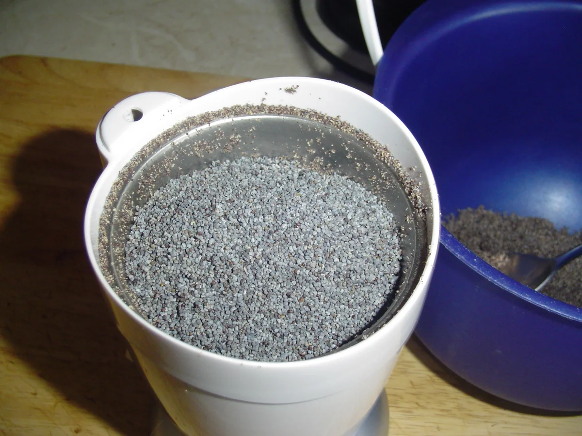 Zusammengebastelte Fantasietorte - Rezept - Bild Nr. 3701