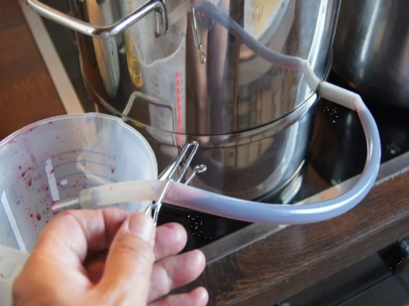 Holunderbeerensaft - Rezept - Bild Nr. 3709