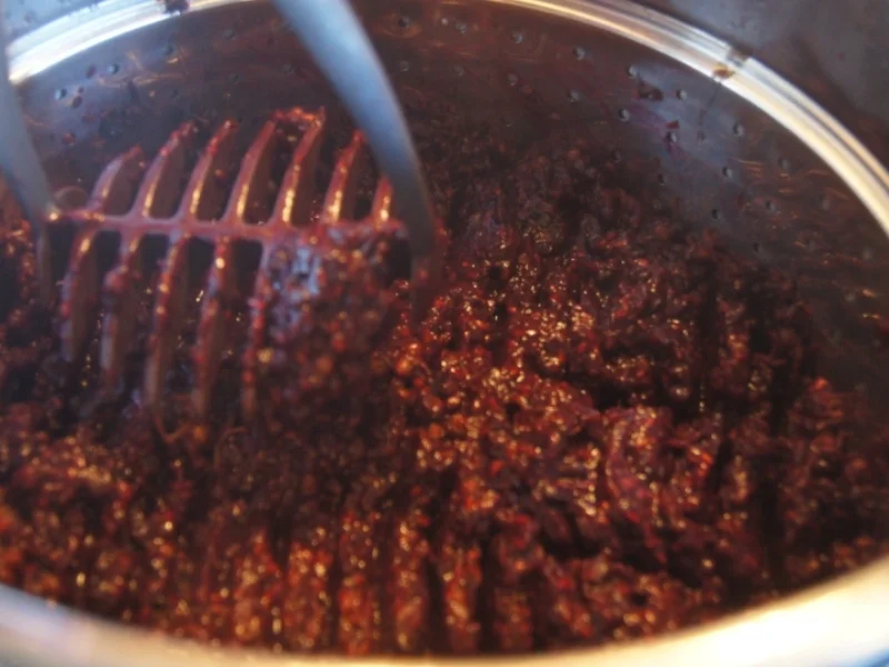 Holunderbeerensaft - Rezept - Bild Nr. 3710