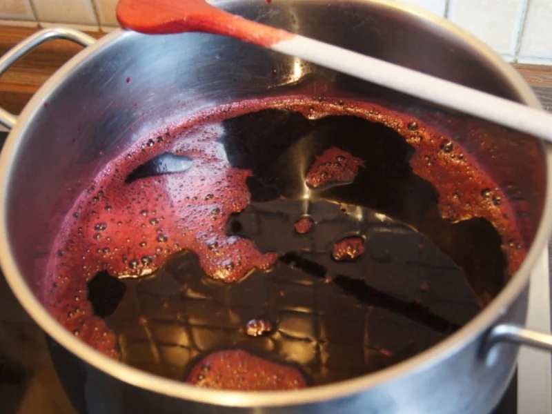 Holunderbeerensaft - Rezept - Bild Nr. 3713