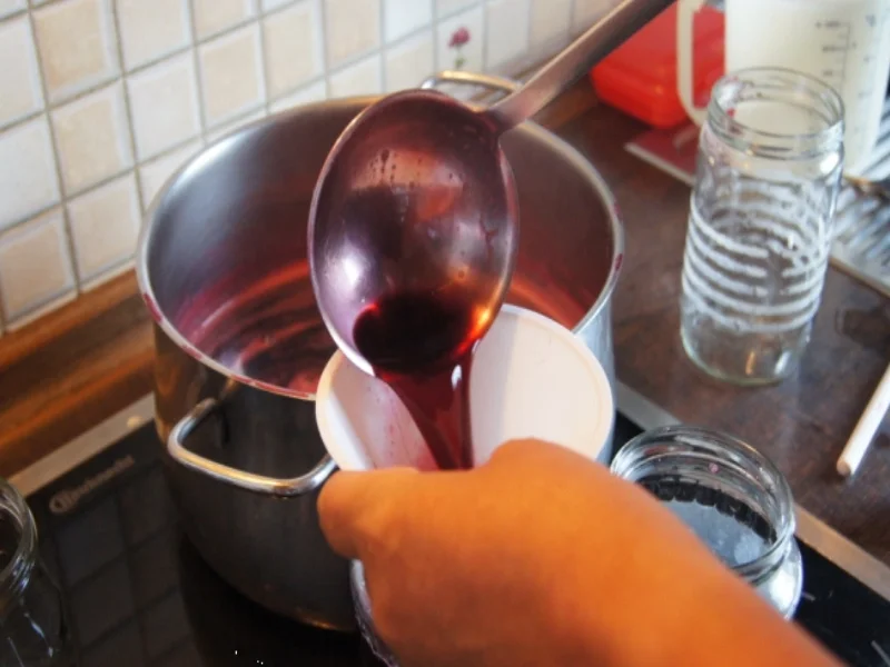 Holunderbeerensaft - Rezept - Bild Nr. 3714