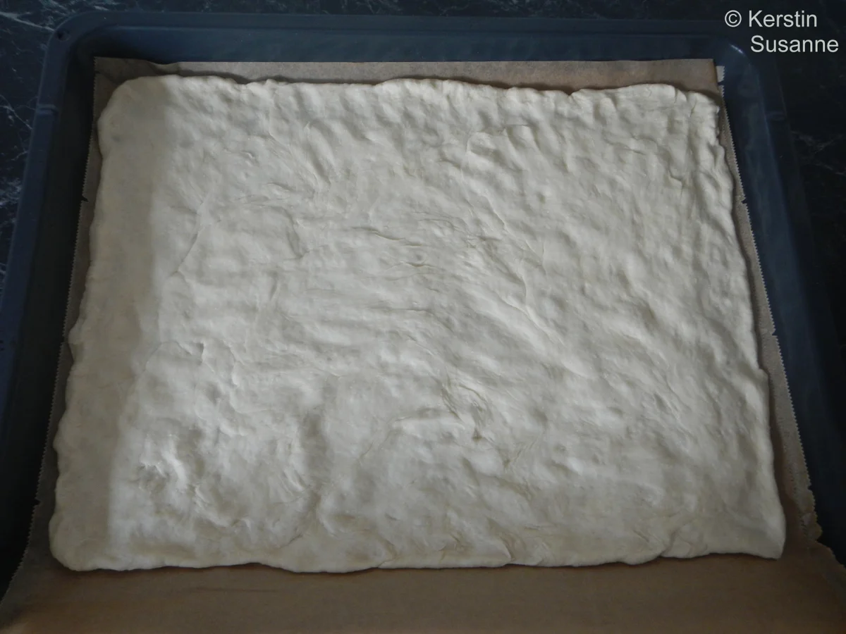 Pizza - Rezept - Bild Nr. 3710