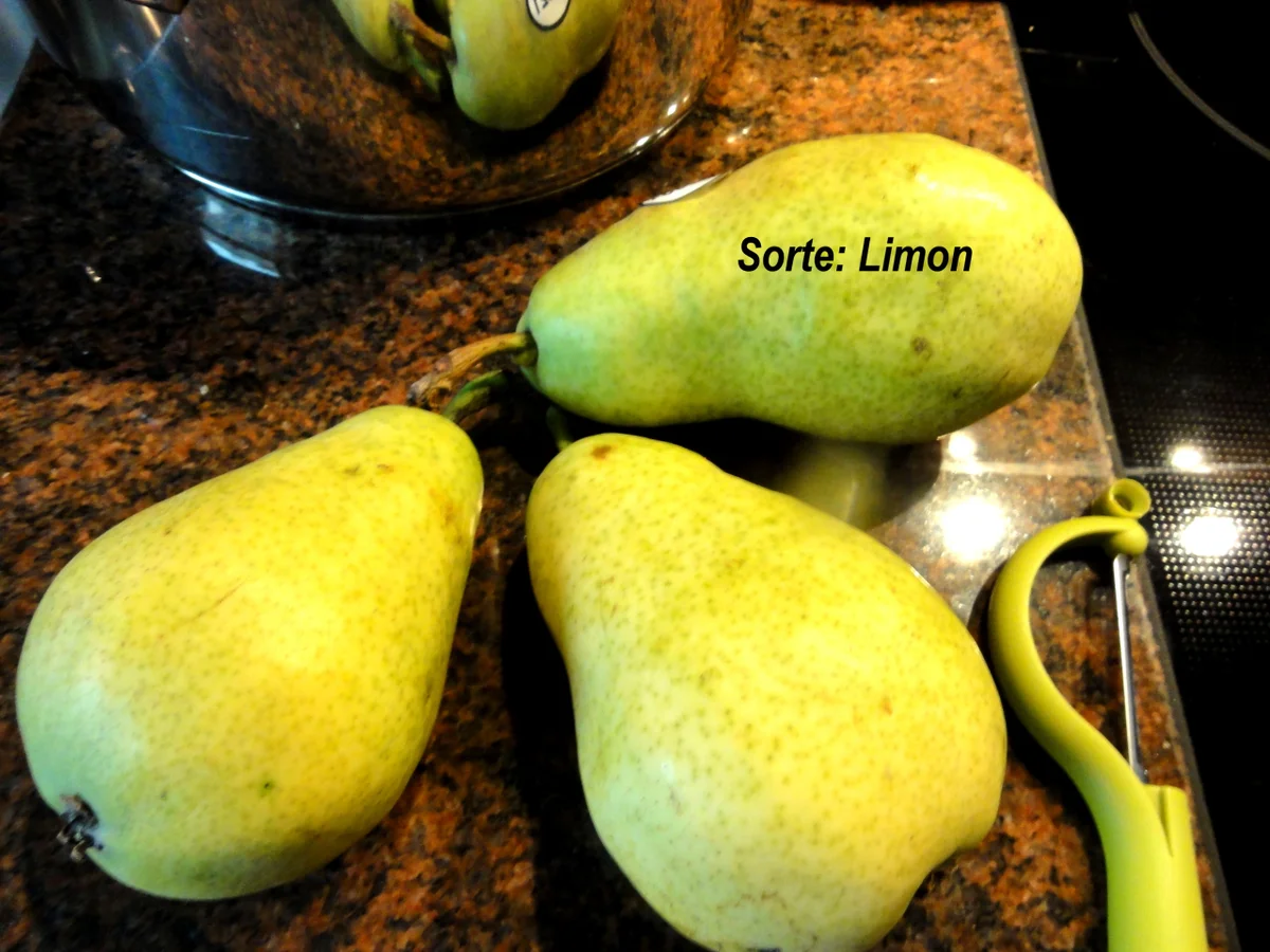 Rezept: Mürbeteig: BIRNEN ~ SCHMAND ~ KUCHEN Bild Nr. 3756 Mürbeteig: BIRNEN ~ SCHMAND ~ KUCHEN - Rezept - Bild Nr. 3756